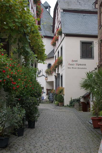 IMGP5272bib.jpg - Side street in Beilstein.